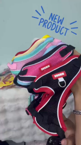 เสื้อรัดอกพร้อมสายจูง ของใช้สัตว์เลี้ยง สำหรับน้องหมา-แมว สีสันสดใส พร้อมจัดส่งจากไทย เนื้อผ้าใส่สบาย ไม่อึดอัด