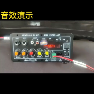 Smith Tools 600W Bluetooth 5.0 Audio Amplifier Board D300 Dual Microphone Subwoofer Amplifier Module DC12V 24V 1CH HIFI Stereo Power AMP