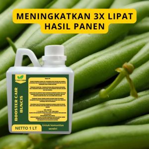 Pupuk Semprot Pelebat SAYUR BUNCIS Pupuk Pelebat SAYUR BUNCIS Pupuk Penyubur SAYUR BUNCIS ZPT