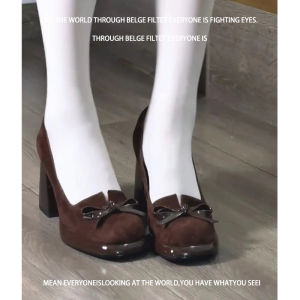 Retro Brown Thick Heel High Heels Womens Elegant Comfortable New 2025 French Mary Jane Shoes Leather Fashionable Flats