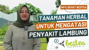 Bestrofit 60 Kapsul 2 pcs Sekaligus Plus Madu 1 Botol 100 mg