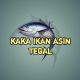 KAKA IKAN ASIN TEGAL