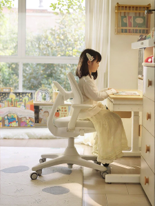 Hbada | Posture Correction Adjustable Childrens Study Chair