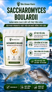 Gói 500Gr Nấm Men Saccharomyces Boulardii Ngừa Phân Trắng Kháng Vibrio Gây Viêm Đường Ruột Cho Tôm Cá