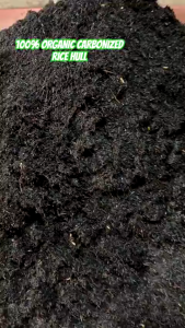 10L/5L Premium Carbonized Rice Hull With Potassium Fertilizer Potted Mix To Soil Used For Garden Plants Universal Organic Nutrient Soils