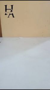 CAR CHARGER RIPPLE BLUETOOTH VOICE RAI - C001