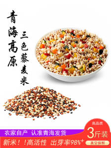 Authentic Qinghai Tricolor Quinoa Rice White Quinoa Coarse Grains Porridge Main Course Brown Rice Non-GMO 500g Bag