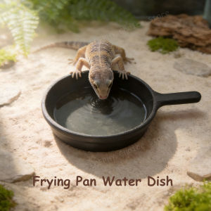 Funny Frying Pan Design Gecko Water Dish Food Grade PETG for Leopard Gecko Crested Gecko Bearded Dragon for Terrarium Setup