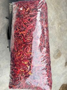 5 KG PAKET HEMAT CABE RAWIT /CAPLAK /TEJA /CABE SEBLAK KWALITAS SUPER /BERSIH TANPA CAMPURAN