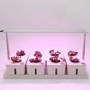 LZD  Inligent Hydroponic Vegetable Planter Growth Lamp Lifting Planting  Soilless Cultivation System in Stock Hot Sale Seedling hine