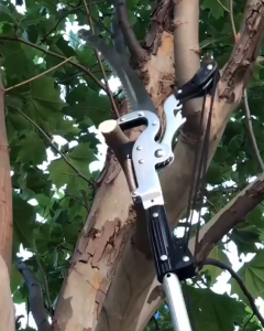 Gunting Tarik dengan Gergaji 6111 4 Katrol Heavy Duty | Rope Pulling Pruning Shears with Saw