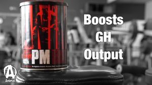 Animal PM - 30 Packs เสริมสร้างกล้ามเนื้อช่วงนอนหลับ หลับพักผ่อนได้สนิทมากยิ่งขึ้น เพิ่มอัตราการฟื้นฟูและซ่อมแซมกล้ามเนื้อ