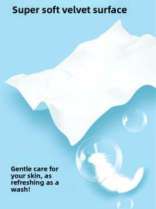 JIFANPAUL | Flushable Wet Wipes for Toilet Use 80 Sheets