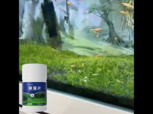 150 Tablets Aquarium Algae Remover for Clear and Healthy Water