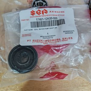 raider 150 fi waterpump maintainance set (SGP).