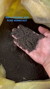 (1KILO) Vermicast (100% Organic)-Mixed to your soil to improve plant growth. For Ornamental Cactus Succulent and Veggies plant.