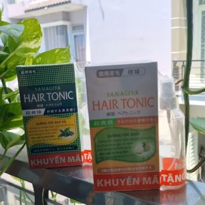Tinh dầu Bưởi và bạc hà dưỡng tóc Yanagiya Hair Tonic  Chính hãng - 240ml