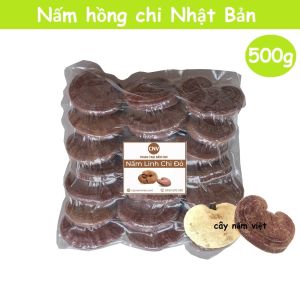 Nấm linh chi đỏ Hồng Chi Nhật Bản 500g (trồng tại Việt Nam) - Cây Nấm Việt