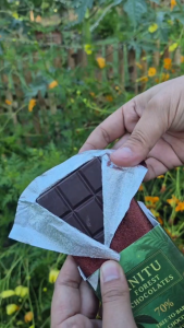 Anitu Forest Chocolate Bars 70% Dark Chocolate 3-Pack with Natural Outdoor Setting