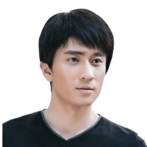 Middle-aged and elderly mens wig hair cover handsome natural breathable short hair simulated human hair flat head mens hair