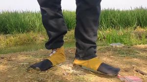 Pain Shoes Sepatu Sawah Anti Keong Berkualitas