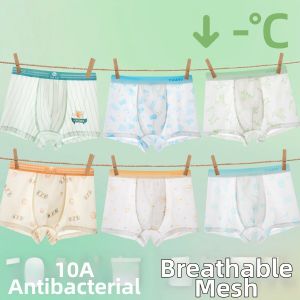 Comfortable Icy Silk Light Boys Underwear