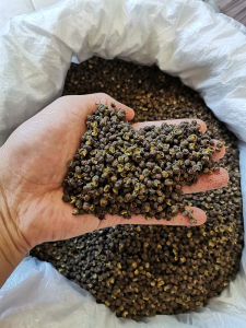 Sichuan Special Extra Spicy Green Peppercorns Whole Opening Hot Pot Super Spicy Seasoning for Boiled Fish And Cooking