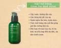Tinh Chất Dưỡng Ẩm Sâu, Phục Hồi Da Mụn Innisfree Green Tea Seed Serum. 
