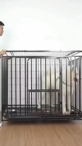 Waterproof Pet Dog Car Seat Mat Hammock Cover SUV Van Back Rear Protector Cat Dog Car Seat Covers Car Rear Seat Pet Mat