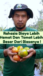 Pupuk DINOSAURUS - Pupuk Hayati Bio-Organik Pembenah Tanah 1 Liter