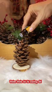 Cây Thông Noel Mini Khuếch Tán Tinh Dầu VINA TƯƠI Thơm Từ Quả Thông Khô Khuếch Tán Trang Trí Thơm Phòng