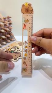 Sanrio Mymelody Kuromi Cinnamoroll Hangyodon Pochacco Cute animal Plastic Straight Rulers stationery Supplies Planner Accessories Student Prize Childrens Day Gift