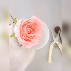 2500gr Pengawet Bunga Segar Reusable Silica Gel Powder Untuk Kreasi DIY Dan Pengawetan Bunga