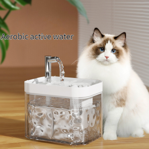 Cat Water Fountain: A Comprehensive Guide to Auto Filter & Transparent Designs