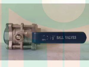 VAN BI INOX PHI 49 ( Hàng nhập khẩu )