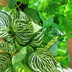 Azgalery PBP116 - Tanaman Hias Daun Hijau Bonsai Aglonema Keladi Tangkai Plastik