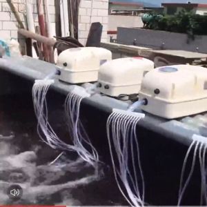 Ac/DC oxygen pump Aquarium oxygen pump Outdoor fishing oxygen pump lithium battery oxygen pump