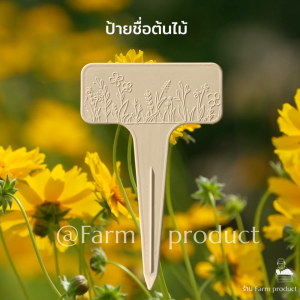 ป้ายชื่อต้นไม้ สวยๆ แบบหนา. (แพ็ก 30 ชิ้น) ใหม่ พร้อมส่ง