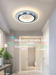 smeou | Luxury Elegant Modern Simple Ceiling Light