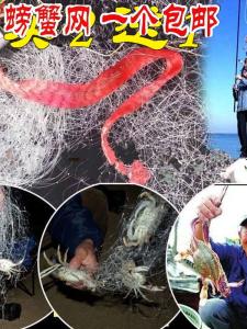 Buy 2 Get 1 Free Crab Fishing Net Sea Fishing Gear Large Crayfish Trap Crab Lure Fishing Tackle Sand Net Crab Cage for Sea Use