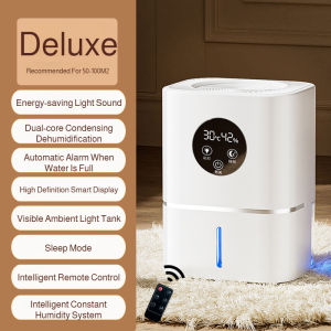Portable Dehumidifier Bedroom Air Dehumidifier Moisture Absorption Eliminate Damp Mold Indoor Dry Room for Home Office and RV