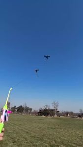 Mini Fishing Rod Kite for Kids Vivid Butterfly Swallow Parrot Easy to Fly Goldfish Kites for Toddler Outdoor Beach Park Beginner