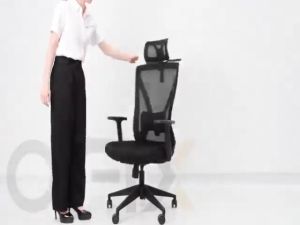 Ofix Korean D18 Ergonomic Office Chair (Black)