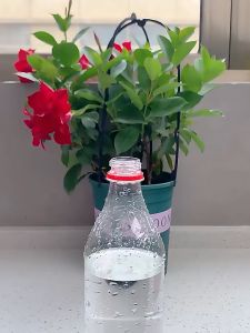 Automatic Watering Plant Dripper Adjustable Plant Flower Drip Irrigation Gardening Tool Dripper Spike Siram Bunga Loji pengairan automatik Dripper loji laras Bunga Drip pengairan alat berkebun Dripper Spike Siram Bunga 自动浇水器