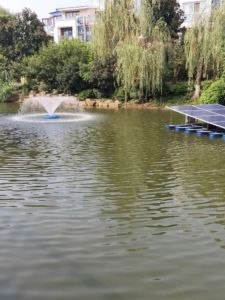 Solar Fish Pond Aerator Outdoor 24v48v DC High Power 750W Floating Pump CX Solar Energy Aeration Machine