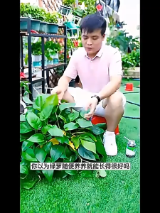Baja Foliar Effective Osmocote Slow Release Fertilizer 300g Baja Subur Baja Bunga Buah Paksa Gemuk 控释肥 缓释肥 营养科学配比 植物通用肥料 肥效持续长久