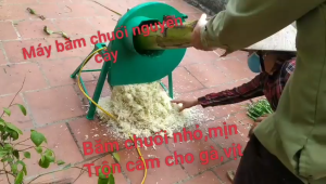 Dao Máy Băm Chuối Mịn Làm Từ Nhíp Cán
