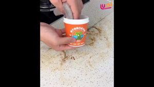 Krim Pembersih Minyak Kelapa -  Krim Pembersih Noda Kerak Stainless Steel - Pembersih Kerak Stainless Dapur Anti Karat