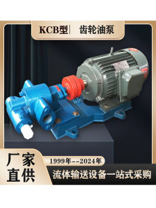 Stainless Steel Gear Pump KCB18.3/33.3/55/83.3 Small Pump 380V Lubricating Oil Pump Cast Iron Body Electrically Driven