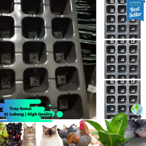(6 pcs) Tray Semai atau Pot Semai atau Pot Tray Semai Bibit Benih